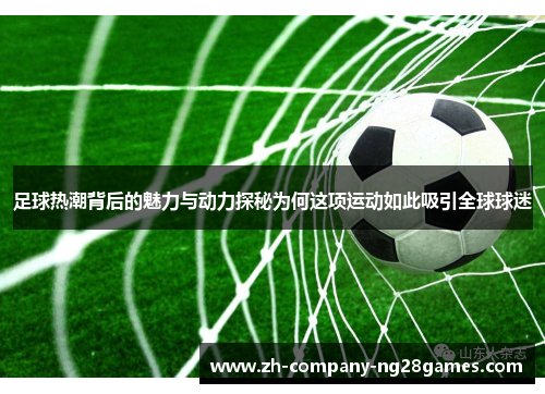 足球热潮背后的魅力与动力探秘为何这项运动如此吸引全球球迷 足球热潮背后的魅力与动力探秘为何这项运动如此吸引全球球迷