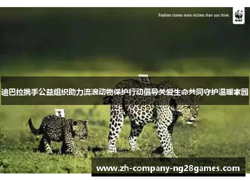 迪巴拉携手公益组织助力流浪动物保护行动倡导关爱生命共同守护温暖家园